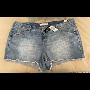 Torrid jean shorts plus size 24